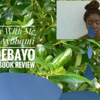 Stay with Me by Ayobami Adebayo; the book review